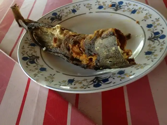 Pokok Sawa Ikan Keli Food Photo 8