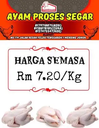 Ayam Tenggaroh Murah