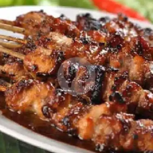 Gambar Makanan Sate L Sa 6