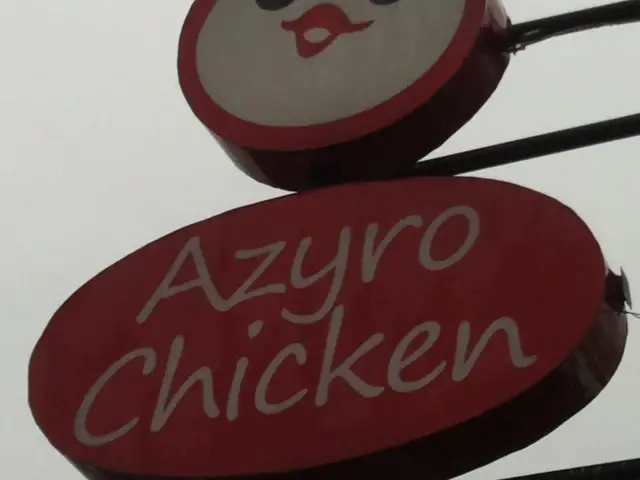 Gambar Makanan Azyro Chicken 4