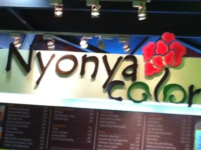 Nyonya Colours Food Photo 3