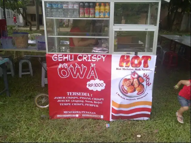 Gehu Crispy Owa