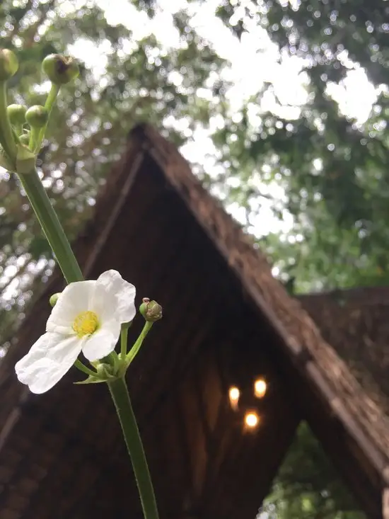 Gambar Makanan Kebon Awi Kaffee 17