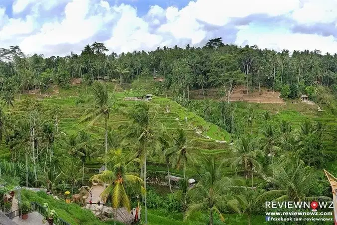 Gambar Makanan Surya Terrace 16