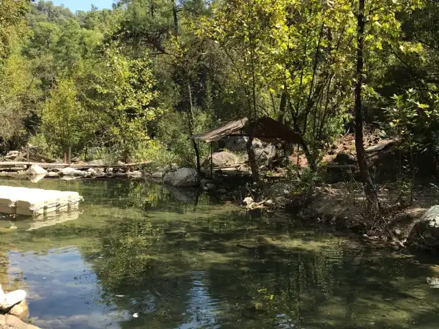 Değirmen Dere Restaurant Ve Köy Kahvaltısı'nin yemek ve ambiyans fotoğrafları 6