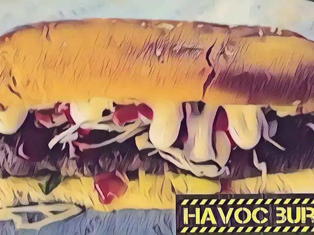 Havoc Burger Food Photo 7