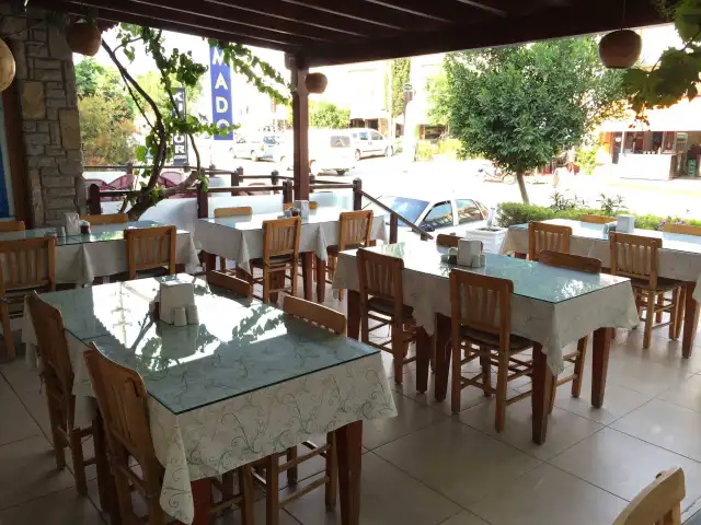 Bitez Köy Mantıcısı'nin yemek ve ambiyans fotoğrafları 3