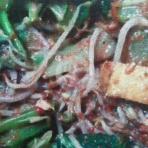 Gambar Makanan Gaeisha Al Faris 1