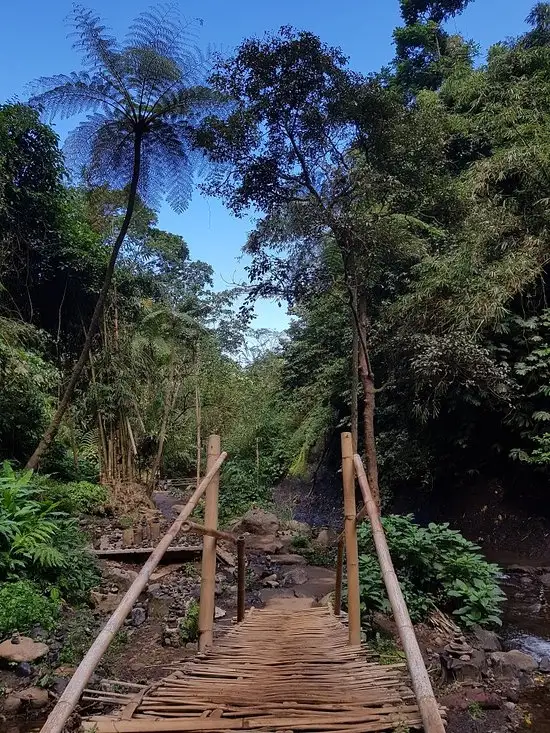 Gambar Makanan Warung Saron 3