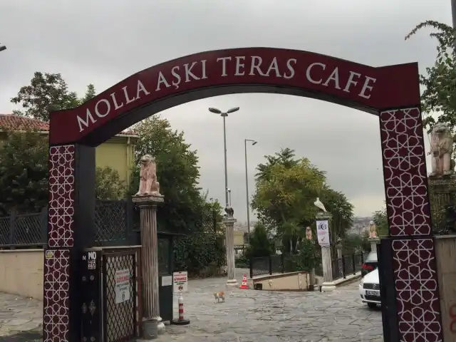 Molla Aşkı Teras Cafe'nin yemek ve ambiyans fotoğrafları 44