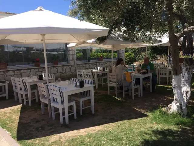 Sakızlar Restaurant'nin yemek ve ambiyans fotoğrafları 4