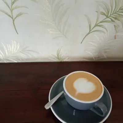 Hidden Haus Coffee & Tea