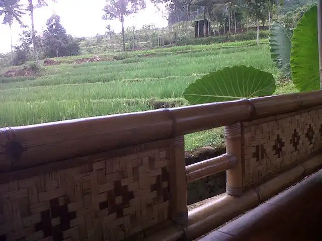 Gambar Makanan Rumah Makan Saung Desa 13