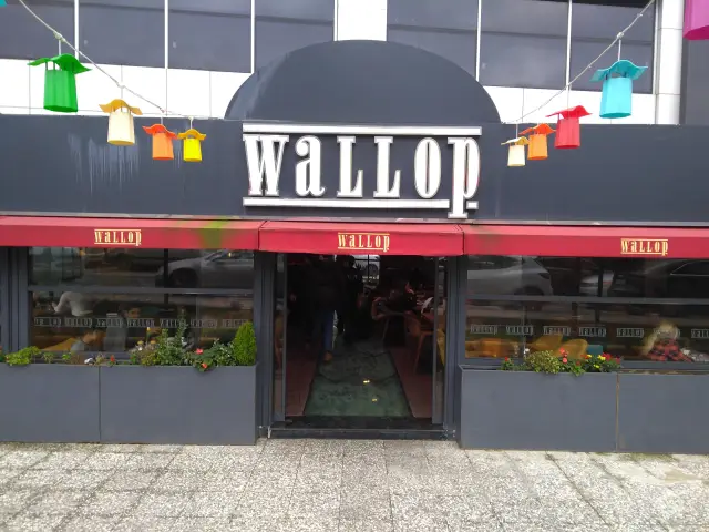 Wallop Cafe & Restaurant'nin yemek ve ambiyans fotoğrafları 2