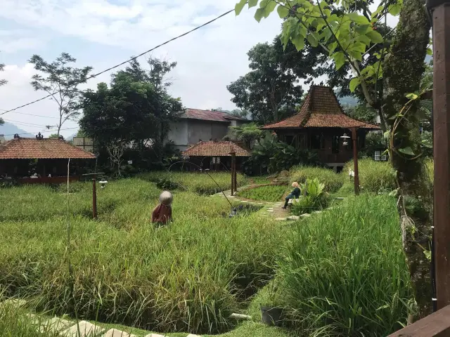 Gambar Makanan Sawah Segar Sentul 15