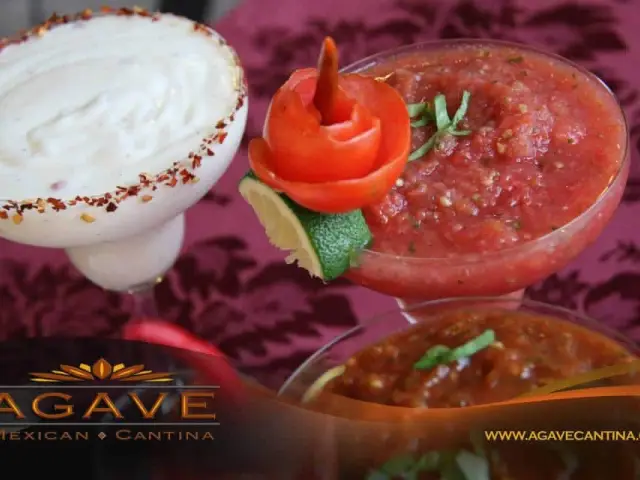 Agave Mexican Cantina Food Photo 10