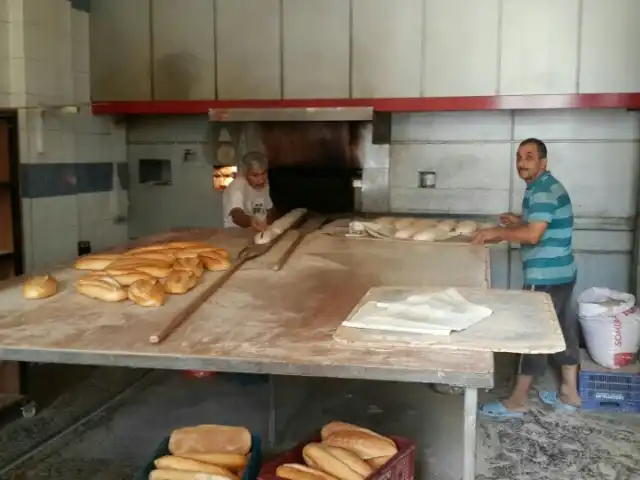 Saman Yolu Ekmek Firini'nin yemek ve ambiyans fotoğrafları 2