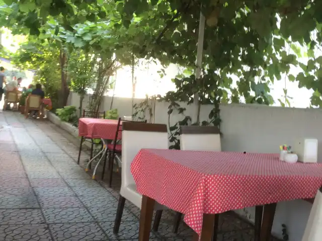 Dila'Res Restaurant'nin yemek ve ambiyans fotoğrafları 3