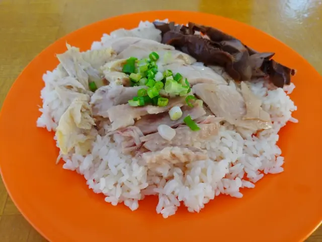 Gambar Makanan Apollo Hainanese Chicken Rice 4