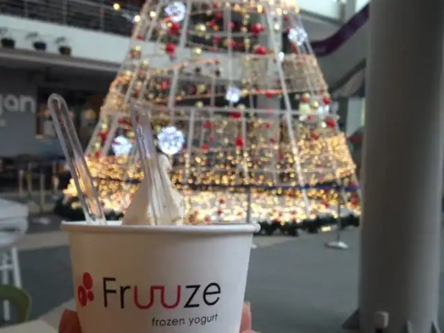 Fruuze Frozen Yogurt Food Photo 10