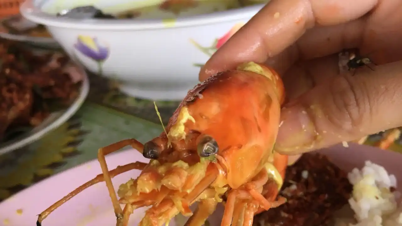 Kedai makanan eksotik sawah sempadan