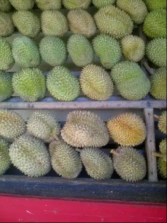 Gambar Makanan Bukit Durian 5
