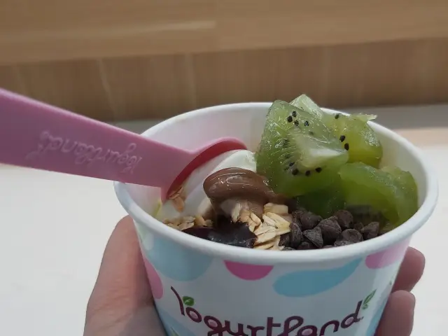 Gambar Makanan Yogurtland 11