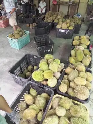 Durian Stall