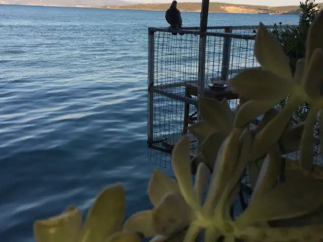 Balikliova Nazilli Pide'nin yemek ve ambiyans fotoğrafları 4