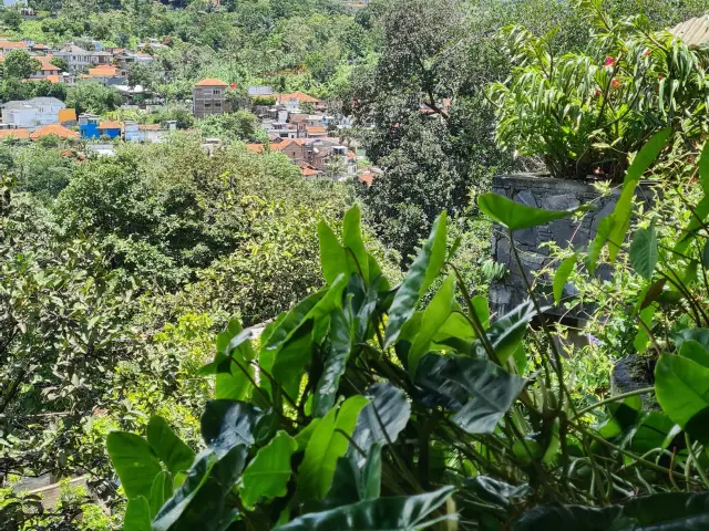 Gambar Makanan Warung Taru (Rumah Kayu) 6