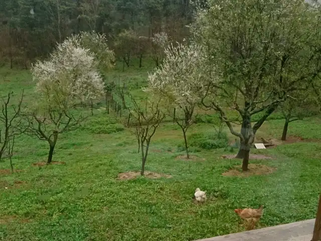 Arnavutköy Kuzu Sofrası'nin yemek ve ambiyans fotoğrafları 5