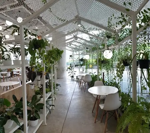 LOF Kitchen and Plants