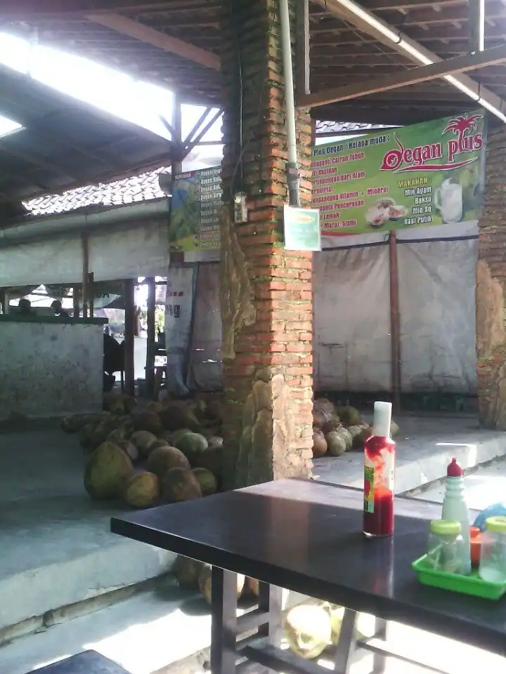 Mie ayam dan bakso degan plus