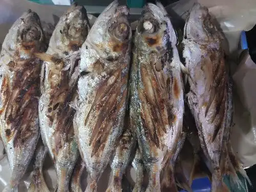 Dodika Ikan Bakar, Percetakan Negara D66