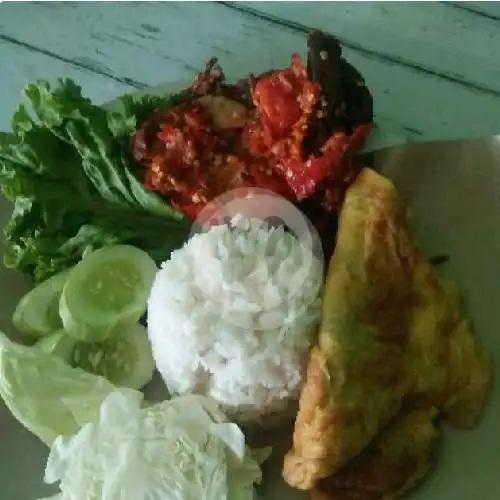 Gambar Makanan Nasi Bebek Kamila, Mampang Prapatan 1