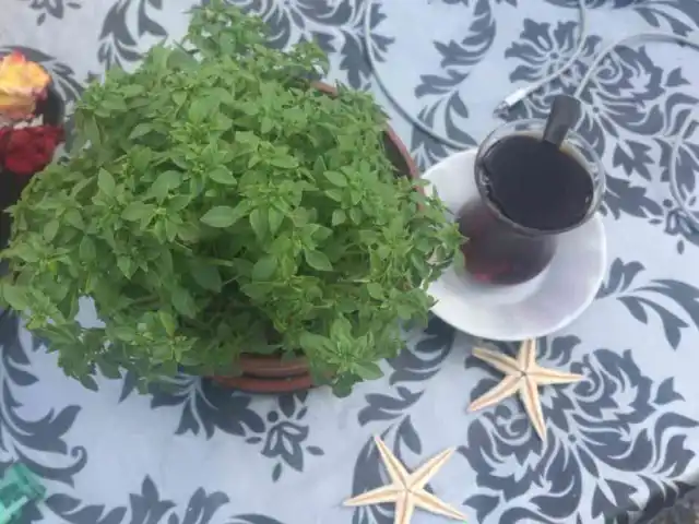 Kadıköy Çaycısı'nin yemek ve ambiyans fotoğrafları 5