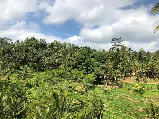 Lumbung Sari Warung