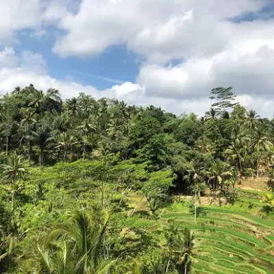 Lumbung Sari Warung