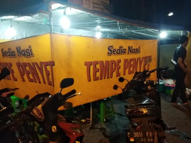 Gambar Makanan Nasi Tempe Penyet Sandus 2