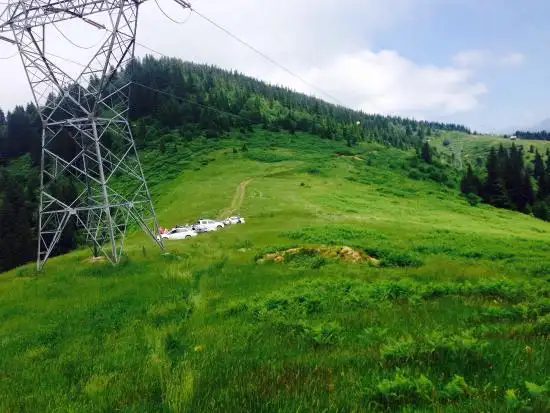 Mavi Melek'nin yemek ve ambiyans fotoğrafları 76