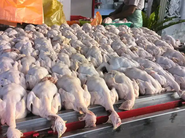 Ayam Murah Jalan Kebun Food Photo 2