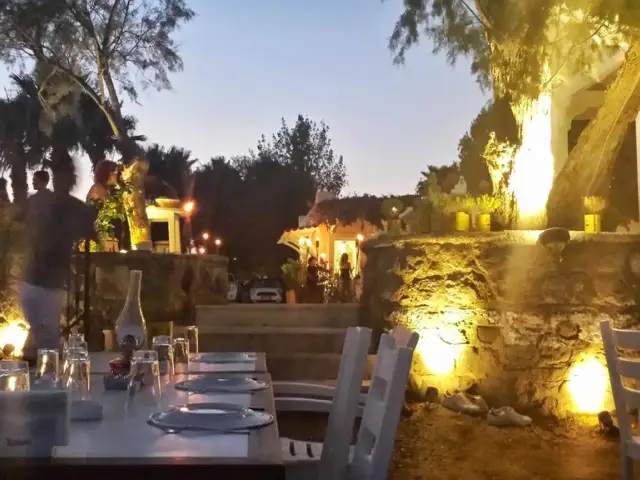 Ayana Restaurant'nin yemek ve ambiyans fotoğrafları 24