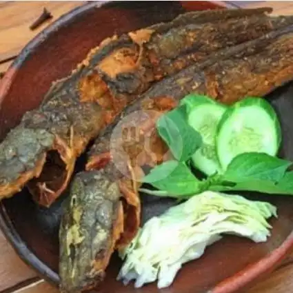 Gambar Makanan pecel lele sukatani.  sebrang toko H. Maid.  18