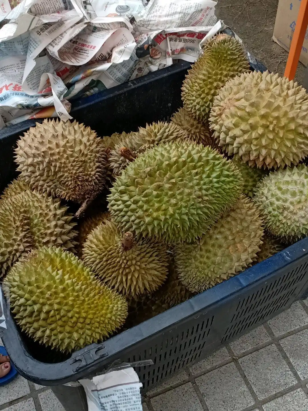 Kedai durian simpang permaisuri