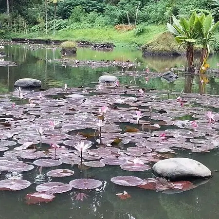 Gambar Makanan Imah Seniman 4