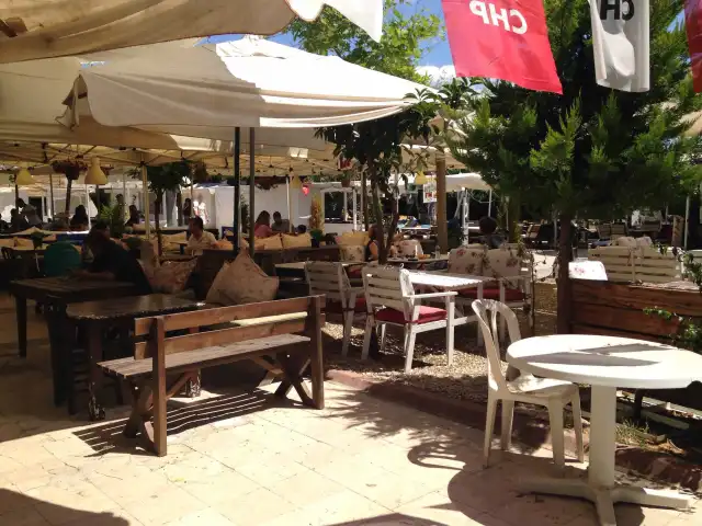 Angel Cafe'nin yemek ve ambiyans fotoğrafları 3