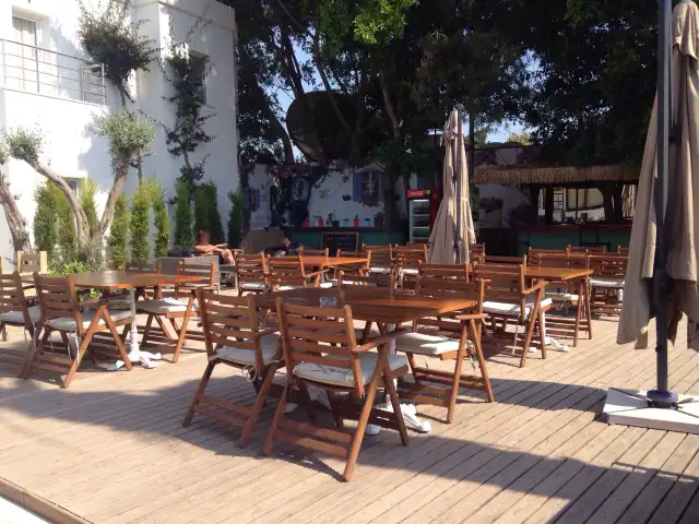 Mercan Restaurant'nin yemek ve ambiyans fotoğrafları 3