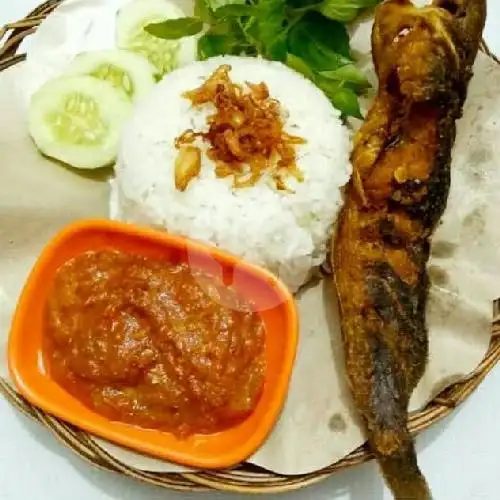 Gambar Makanan Pecel Lele ADIVA  6