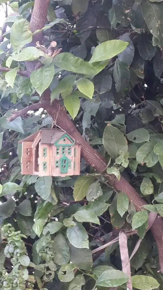 Limonaltı Cafe (Emine Abla'nın Yeri)'nin yemek ve ambiyans fotoğrafları 2