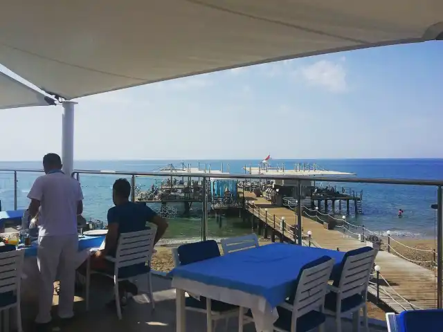 Alesta Fish Restaurant'nin yemek ve ambiyans fotoğrafları 10